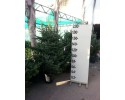 Έλατο Κεφαλληνίας - Abies cephallonica